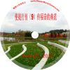 徐兴言长老系列讲道集 - 使徒行传讲章