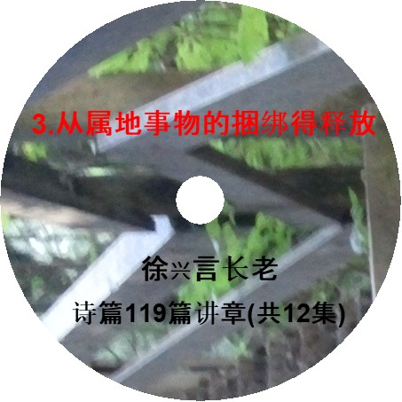 徐兴言长老系列讲道集 - 诗篇119篇讲章