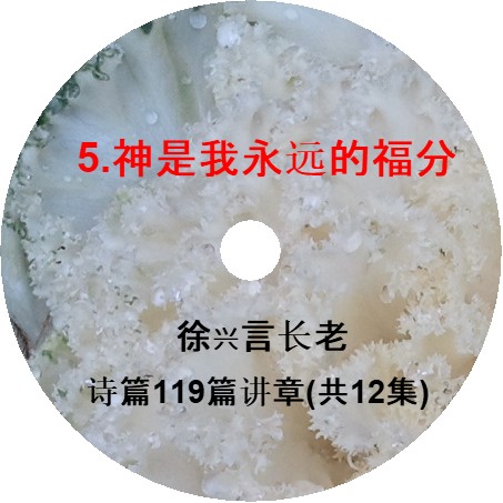 徐兴言长老系列讲道集 - 诗篇119篇讲章