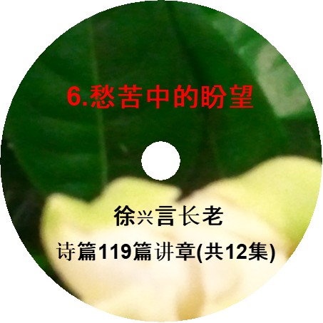 徐兴言长老系列讲道集 - 诗篇119篇讲章