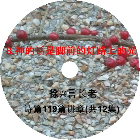 徐兴言长老系列讲道集 - 诗篇119篇讲章