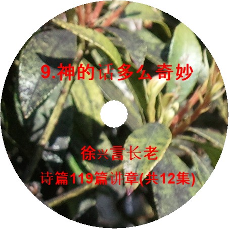 徐兴言长老系列讲道集 - 诗篇119篇讲章