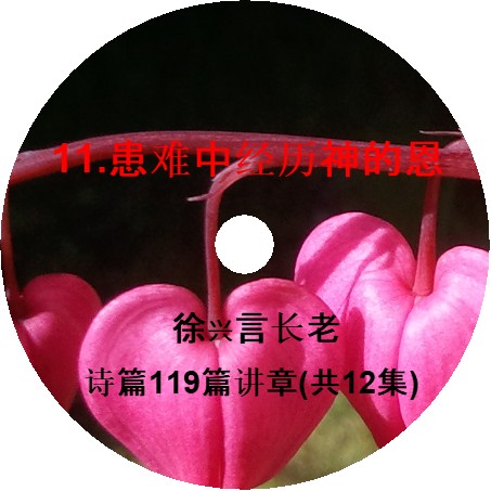 徐兴言长老系列讲道集 - 诗篇119篇讲章