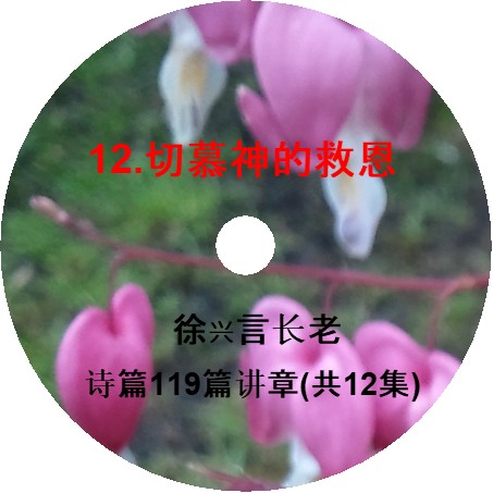 徐兴言长老系列讲道集 - 诗篇119篇讲章