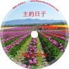 徐兴言长老系列讲道集 - 帖撒罗尼迦前书讲章