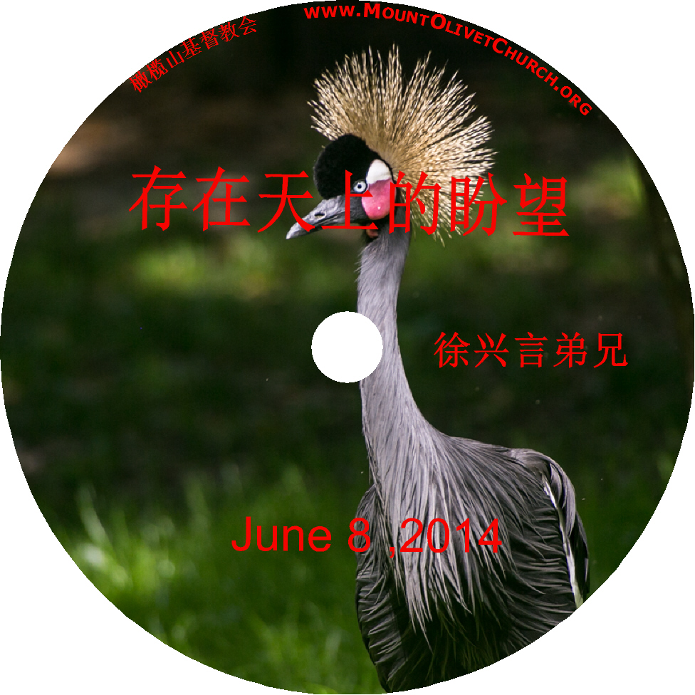 徐兴言长老系列讲道集 - 歌罗西书讲章