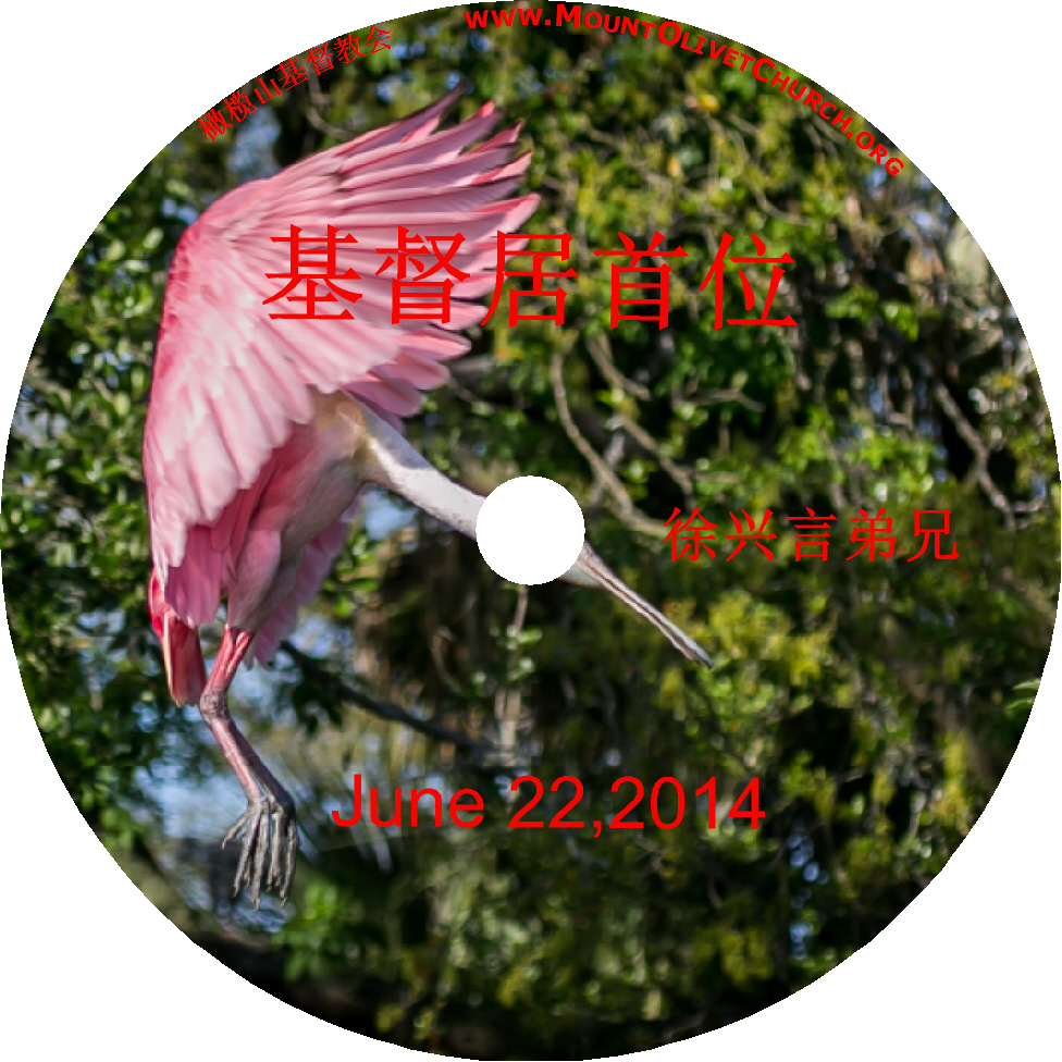 徐兴言长老系列讲道集 - 歌罗西书讲章