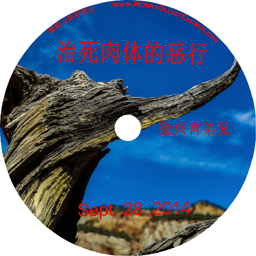 徐兴言长老系列讲道集 - 歌罗西书讲章