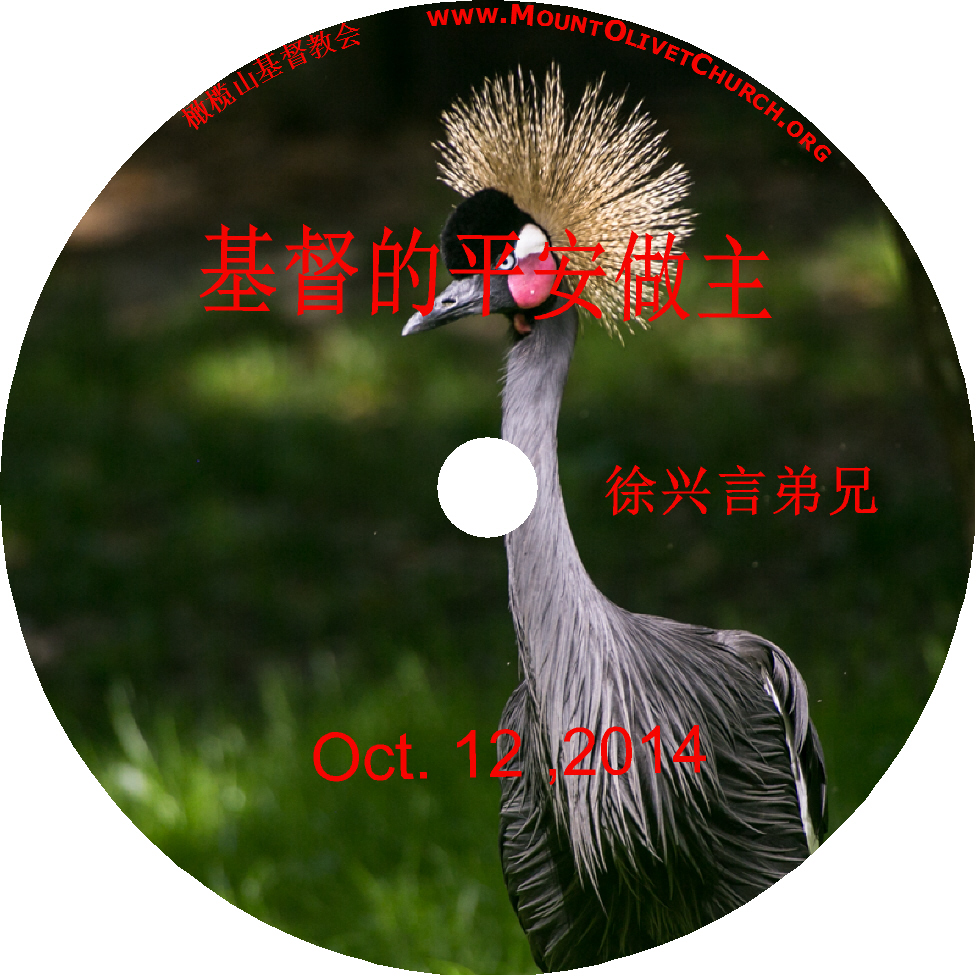 徐兴言长老系列讲道集 - 歌罗西书讲章