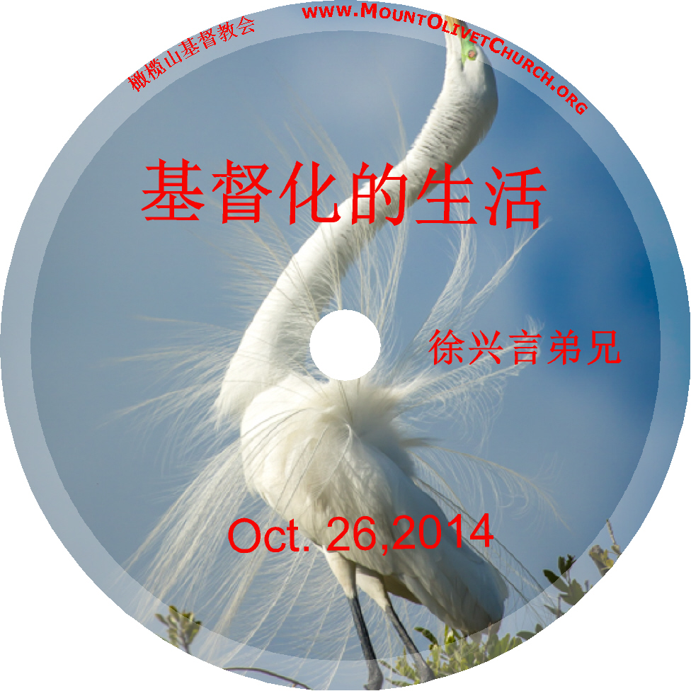 徐兴言长老系列讲道集 - 歌罗西书讲章