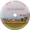 徐兴言长老系列讲道集 - 雅各书系列讲章