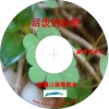 徐兴言长老系列讲道集 - 彼得前后书讲章