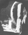  Ĺʯ